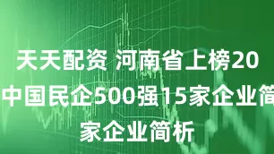 天天配资 河南省上榜2025中国民企500强15家企业简析