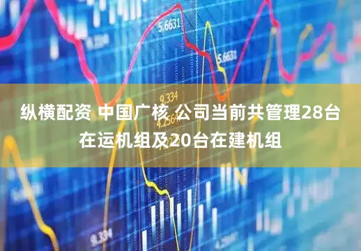 纵横配资 中国广核 公司当前共管理28台在运机组及20台在建机组