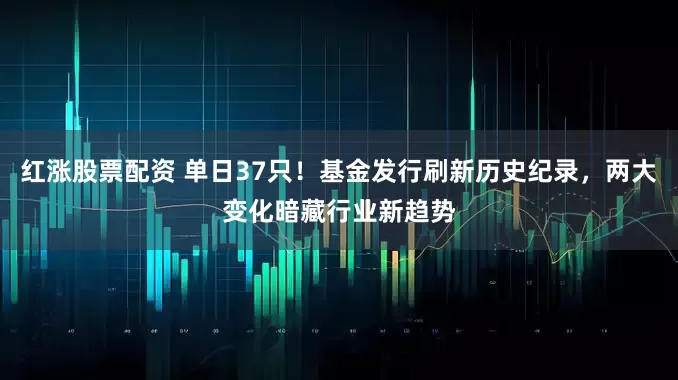 红涨股票配资 单日37只!基金发行刷新历史纪录,两大变化暗藏行业新趋势
